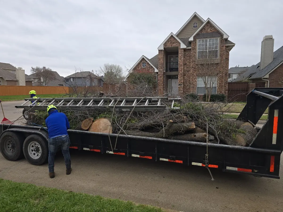 Expert Tree Pest Control with proper safety equipment in Lopez